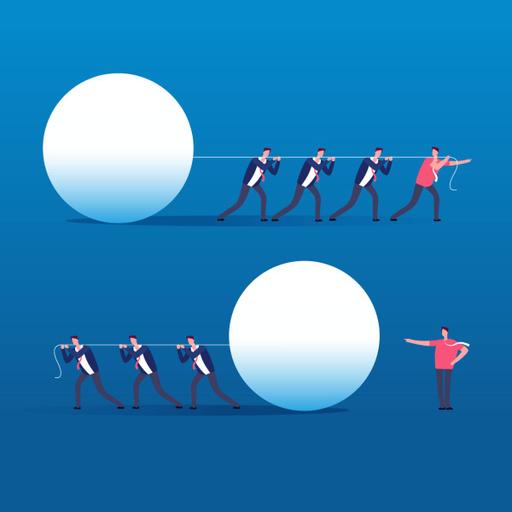 Picture of the product