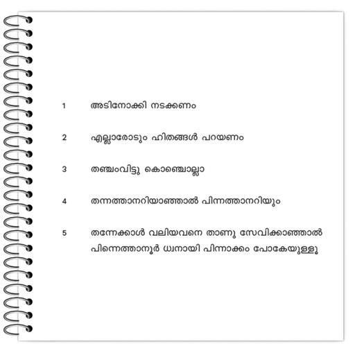 Picture of the product