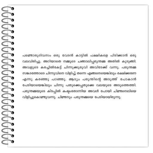 Picture of the product