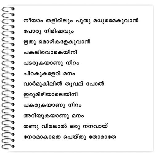 Picture of the product