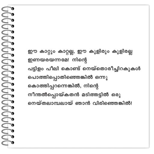 Picture of the product