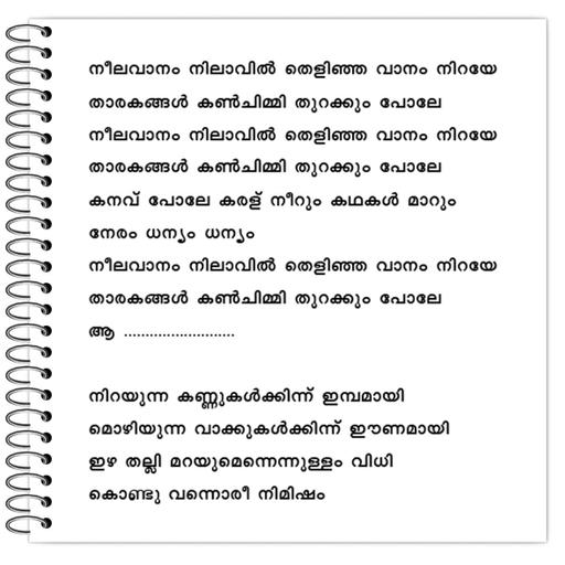 Picture of the product