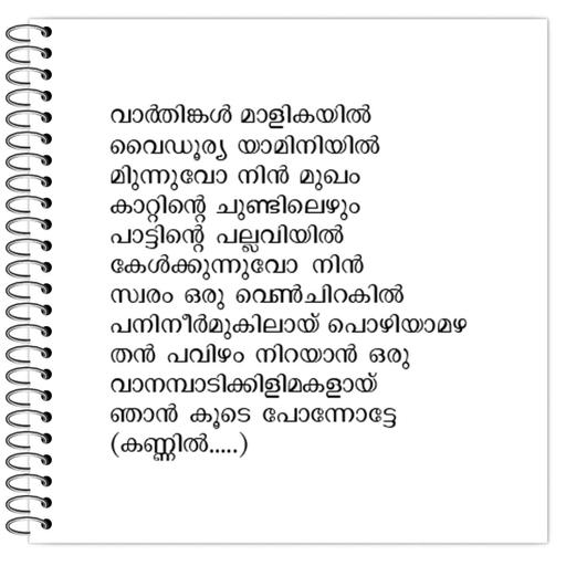 Picture of the product