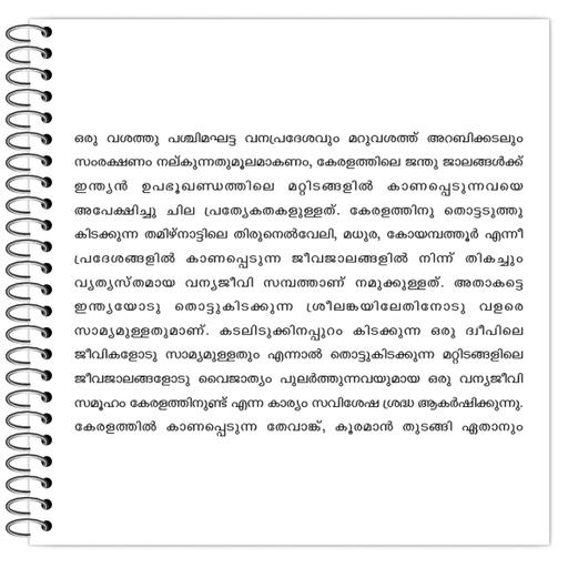 Picture of the product