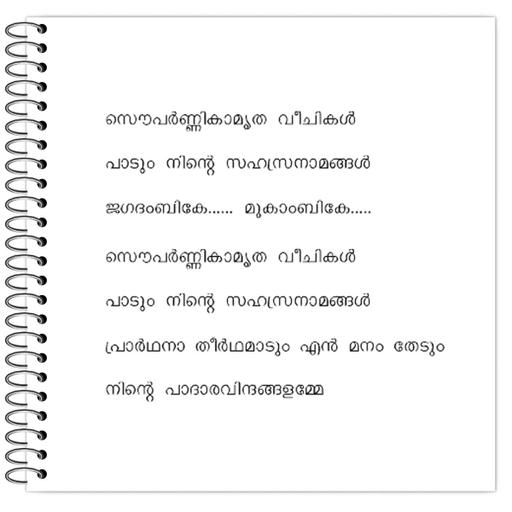 Picture of the product