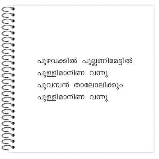 Picture of the product