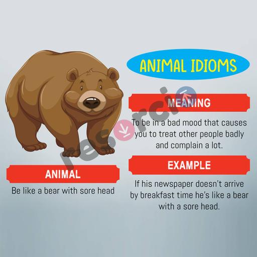 Picture of the product