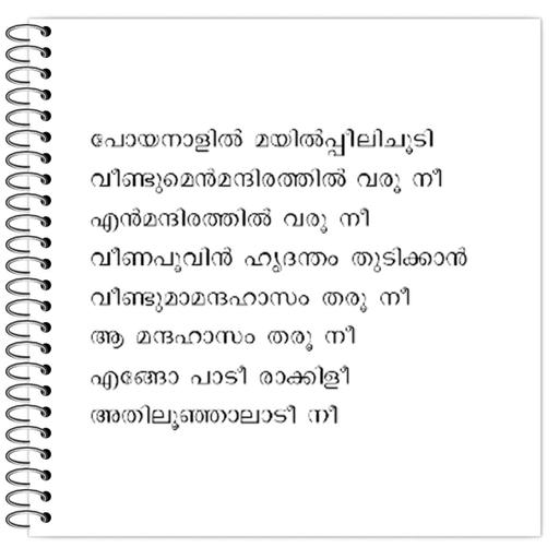 Picture of the product