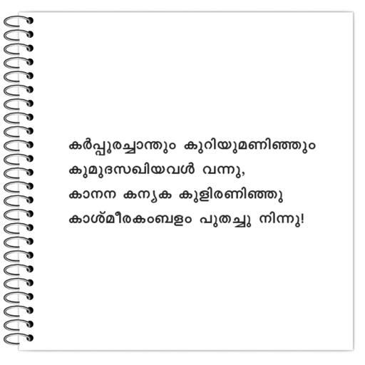 Picture of the product