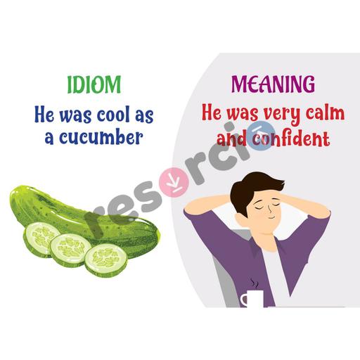 Picture of the product