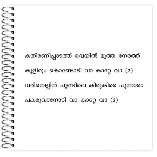 Picture of the product