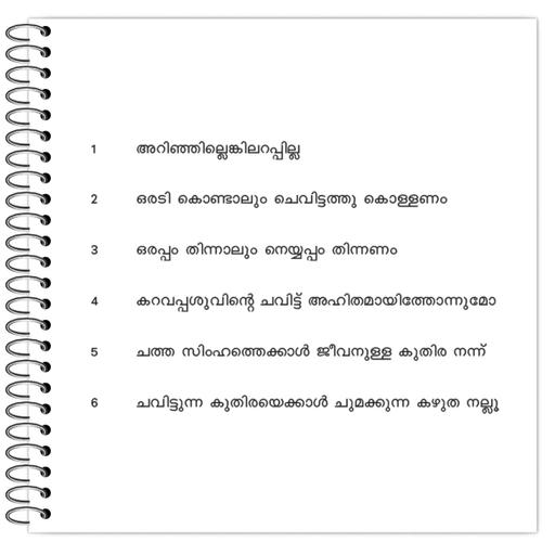 Picture of the product