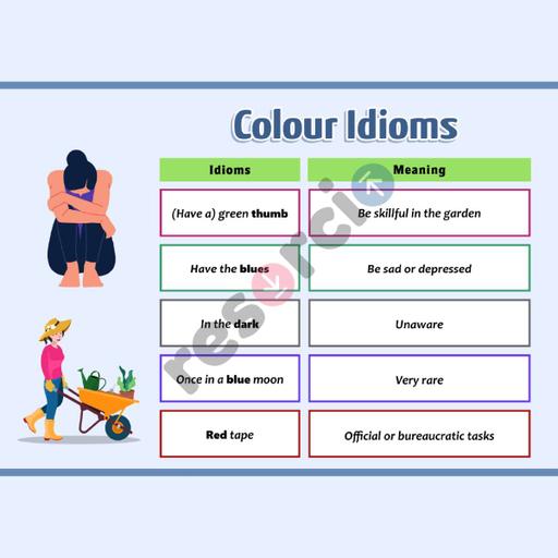 Picture of the product