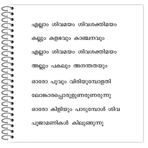 Picture of the product