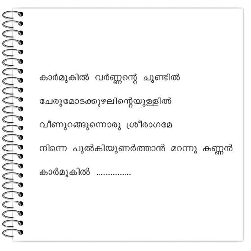 Picture of the product