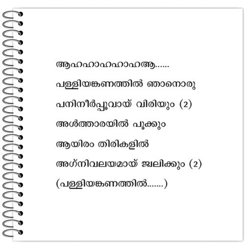 Picture of the product