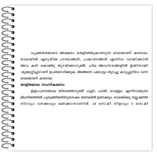 Picture of the product