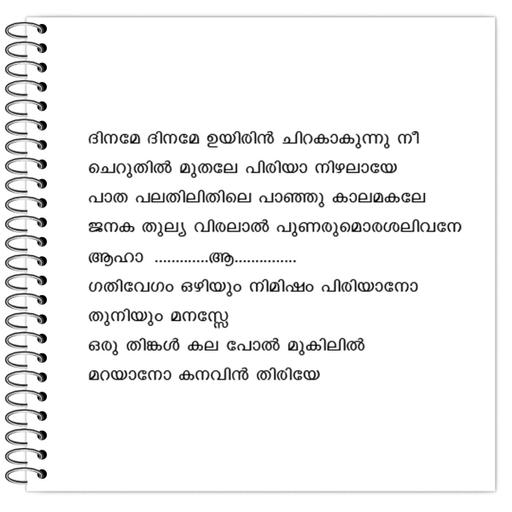 Picture of the product