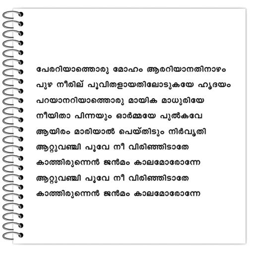 Picture of the product