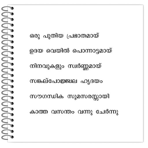 Picture of the product