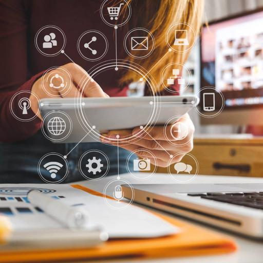 Picture of the product