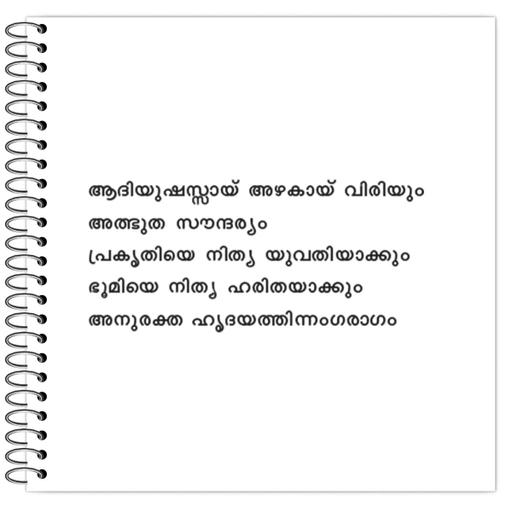 Picture of the product