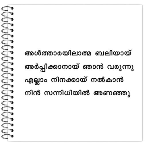 Picture of the product