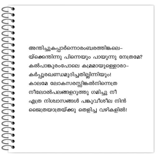 Picture of the product