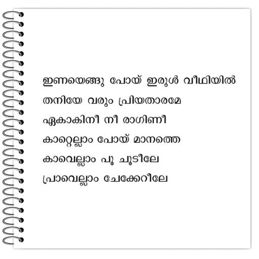 Picture of the product