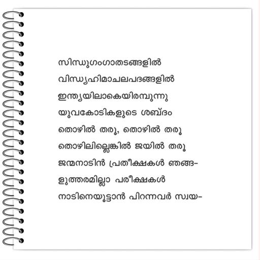 Picture of the product