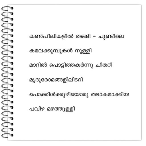 Picture of the product