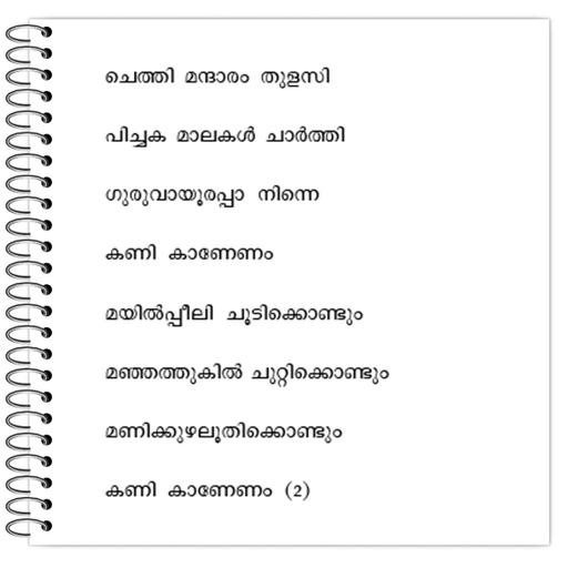 Picture of the product