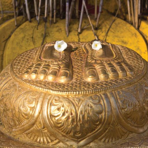 Picture of the product