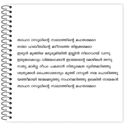 Picture of the product