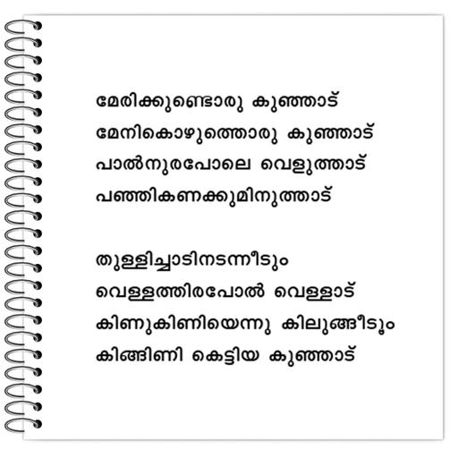 Picture of the product