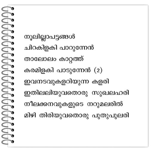 Picture of the product