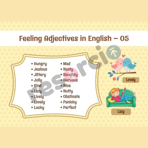 Picture of the product