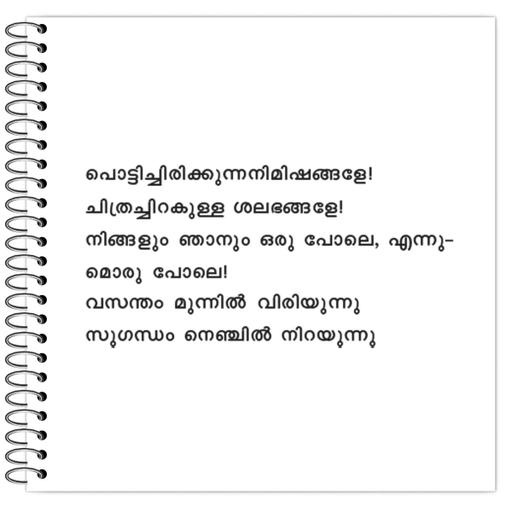 Picture of the product