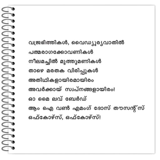 Picture of the product