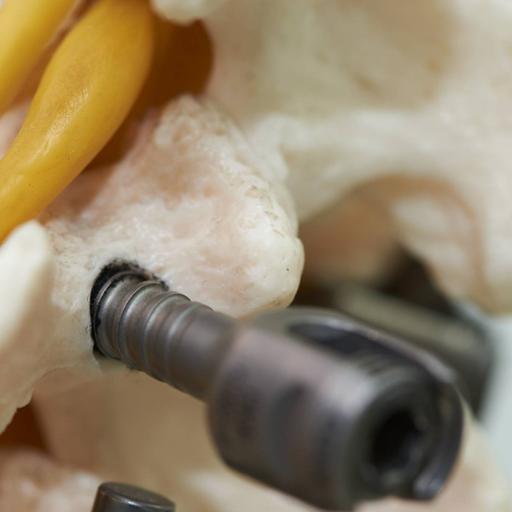 Picture of the product