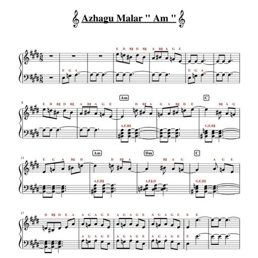 Picture of the product