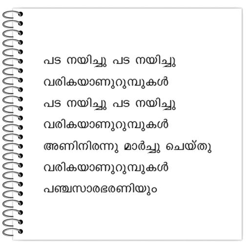 Picture of the product