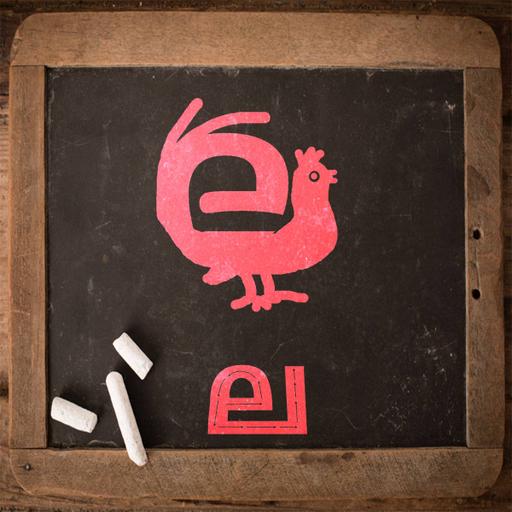 Picture of the product