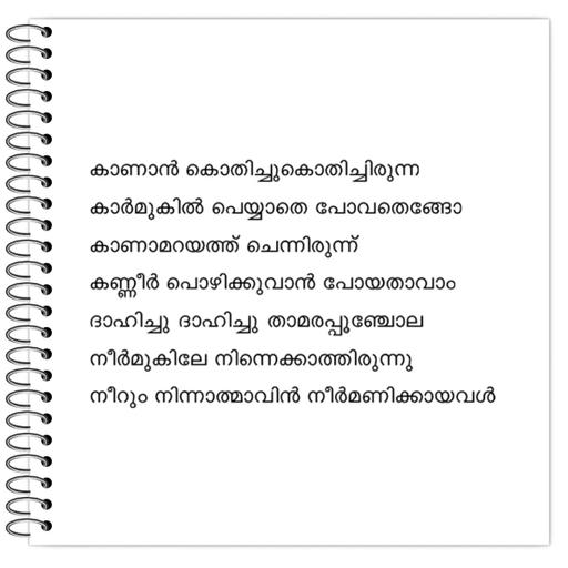 Picture of the product