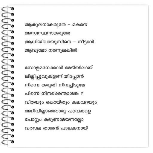 Picture of the product