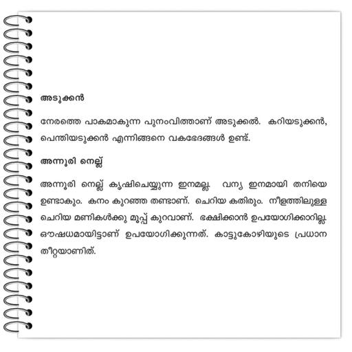 Picture of the product