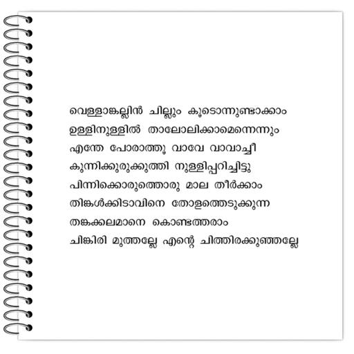 Picture of the product