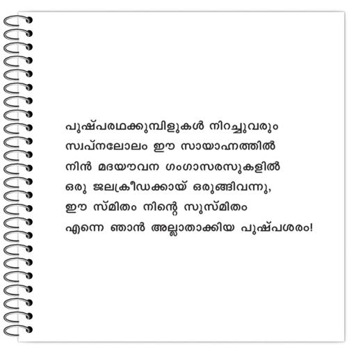 Picture of the product