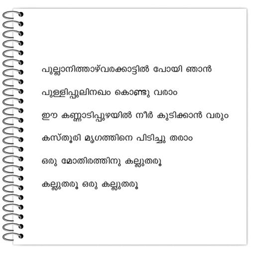 Picture of the product