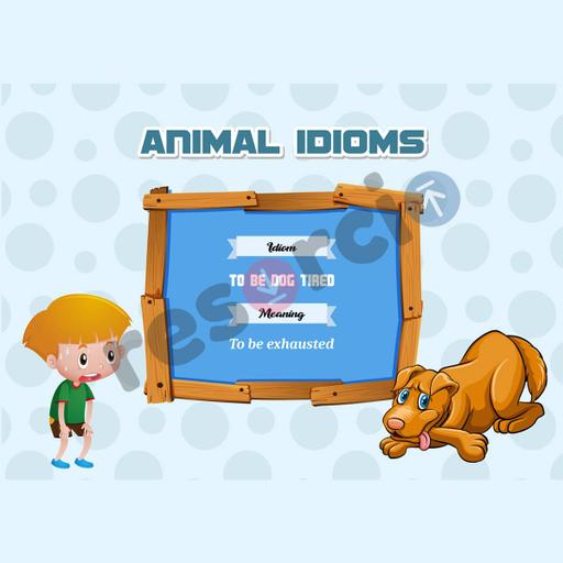 Picture of the product